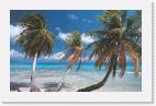 Martinique 04 * 1644 x 1032 * (378KB)